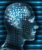 Una memoria grabada en el cerebro